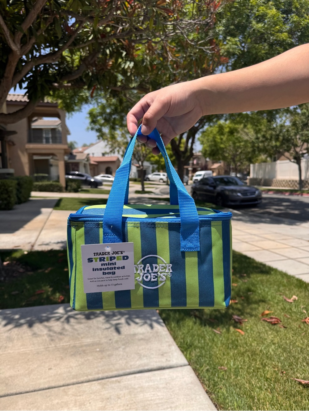 Trader Joe's Blue & Green Striped Mini Insulated Bag